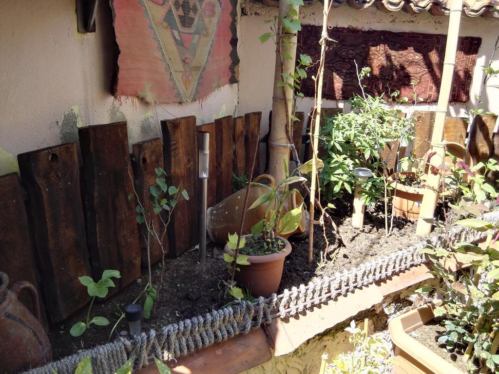 Lea Guest House Tbilisi Esterno foto